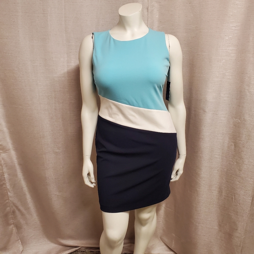Blue & White Sleeveless Dress